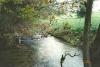 the eponymous creek