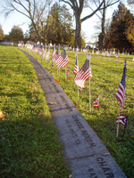 Graves of the Ohio soldiers
