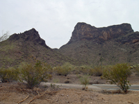 The Battle of Picacho Pass