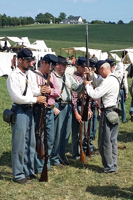 Inspection Arms