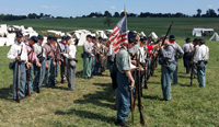 Inspection Arms