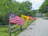 An array of flags