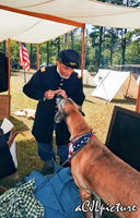 auditioning potential regimental mascots