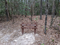 The actual real trenches