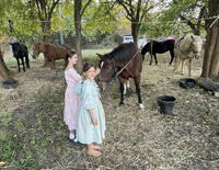 visiting the Cavalry