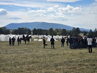 Getting ready for battle