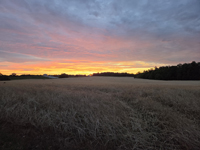 A fine sunset